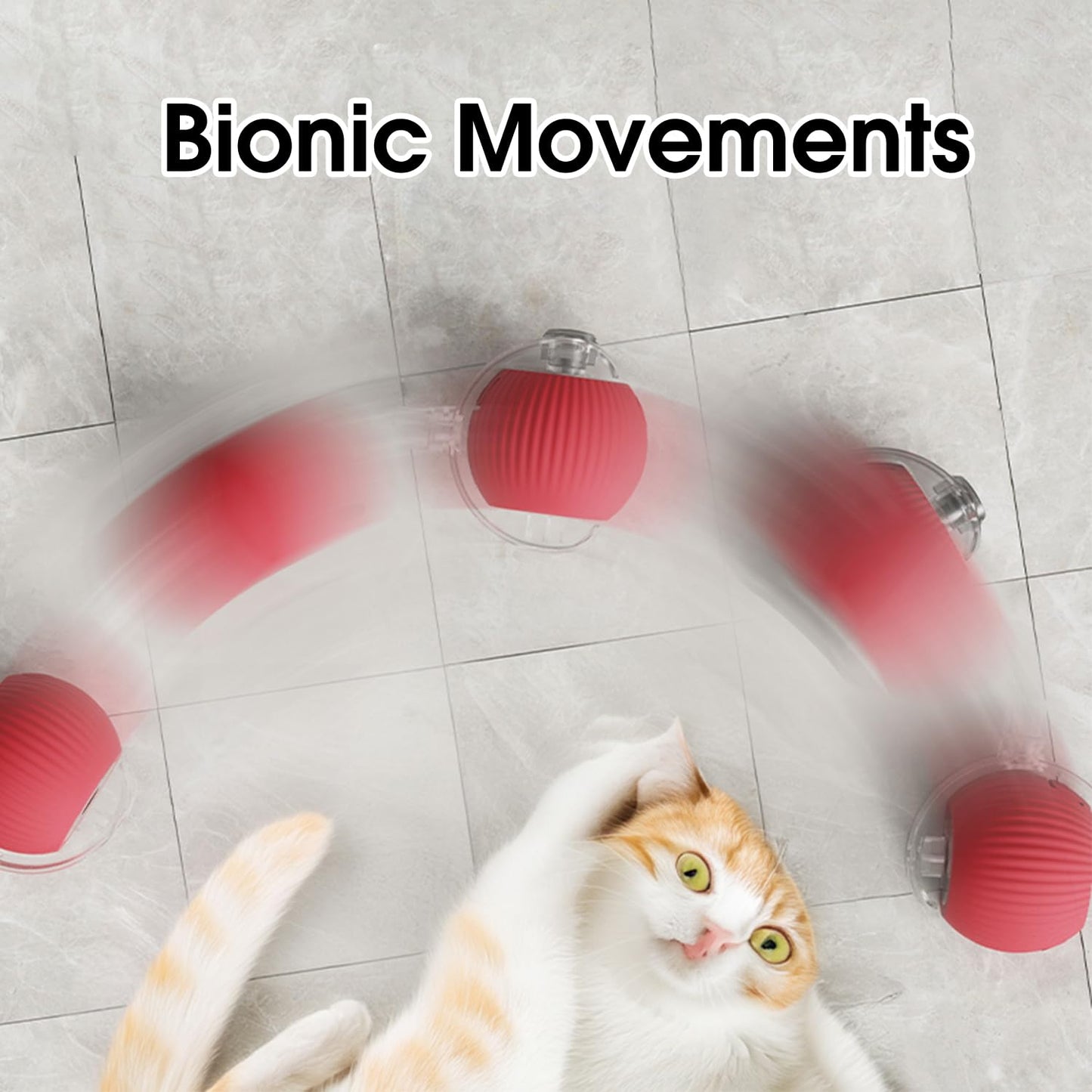 Nurbini® smart chase pet toy ball